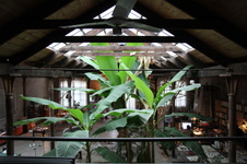 Enlarge photo 27