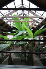 Enlarge photo 28