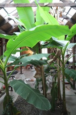 Enlarge photo 29