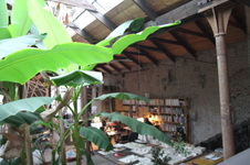Enlarge photo 30