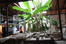 Enlarge photo 31