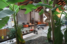 Enlarge photo 32