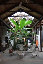 Enlarge photo 35