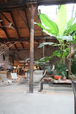 Enlarge photo 41