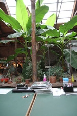 Enlarge photo 43
