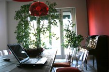 Enlarge photo 5