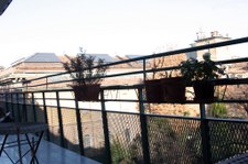 Enlarge photo 33