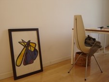 Enlarge photo 9
