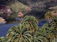 Enlarge photo 27