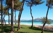 Enlarge photo 14