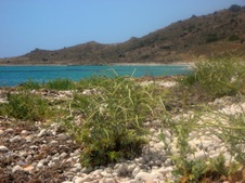 Enlarge photo 3