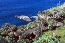 Enlarge photo 22