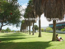 Enlarge photo 26