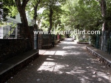 Enlarge photo 27