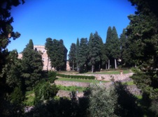 Enlarge photo 20