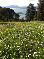 Enlarge photo 14