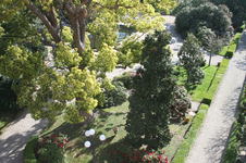 Enlarge photo 10