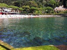 Santa Margherita Options