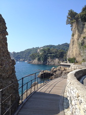 Enlarge photo 37