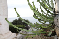 Enlarge photo 25
