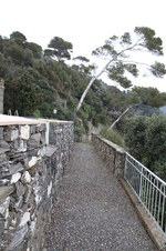 Enlarge photo 33