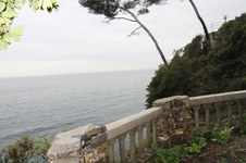 Enlarge photo 42
