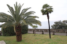 Enlarge photo 43