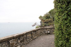 Enlarge photo 45