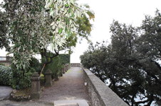 Enlarge photo 49