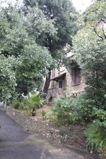 Enlarge photo 50