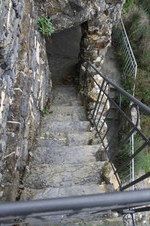 Enlarge photo 53