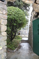 Enlarge photo 54