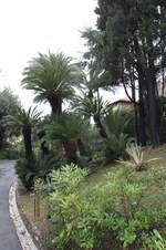 Enlarge photo 59