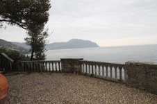 Enlarge photo 61