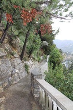 Enlarge photo 62