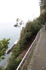 Enlarge photo 63
