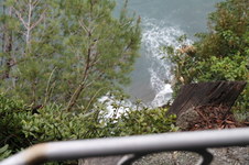 Enlarge photo 65