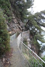 Enlarge photo 66