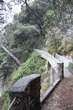 Enlarge photo 67