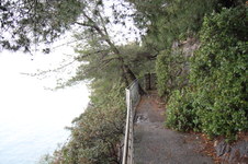Enlarge photo 68