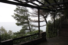 Enlarge photo 69