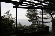 Enlarge photo 70