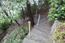 Enlarge photo 72