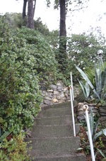 Enlarge photo 73