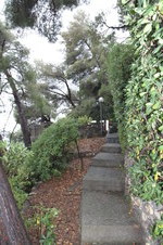 Enlarge photo 75