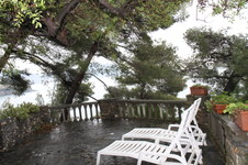 Enlarge photo 76