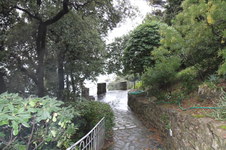 Enlarge photo 77