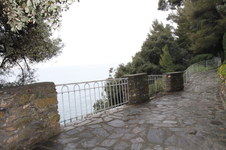 Enlarge photo 78