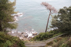 Enlarge photo 79