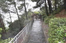 Enlarge photo 80